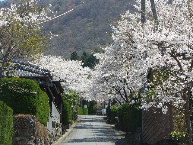九州の温泉付き別荘地をお探しなら、湯布院のことぶき別荘村へ！